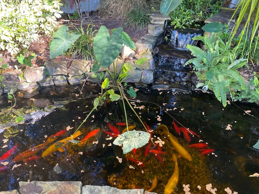 Welcome to our ”Divine Abode”! - Image 1
