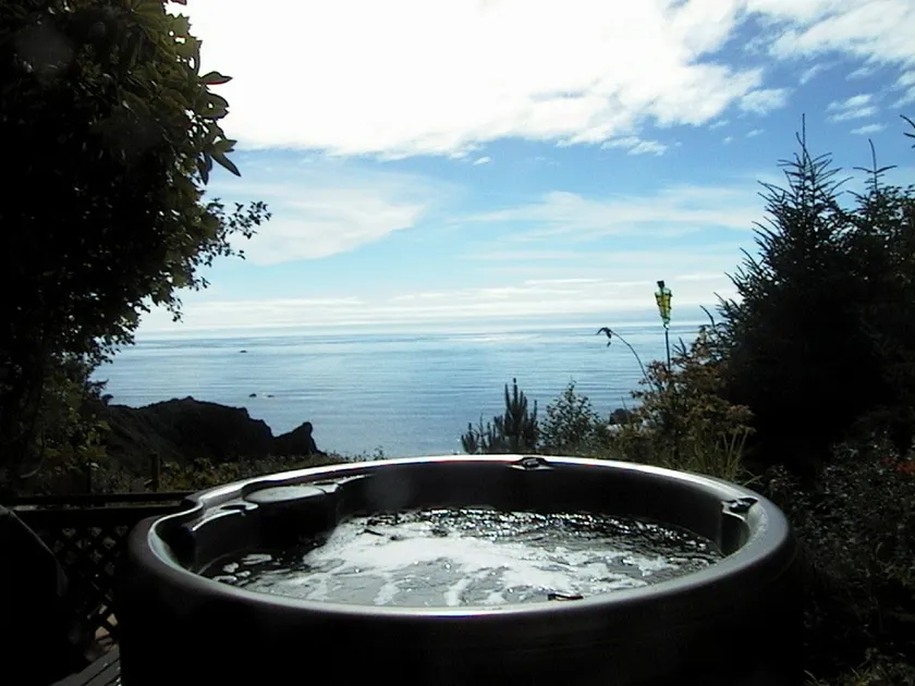 Trinidad Oceanfront Hottub & Sauna! - Image 1