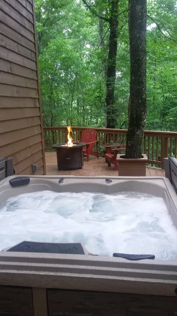 Ugedags-specialer - Spektakulær Creekside Cabin midt i N. Georgia Wineries-Hot tub! - Image 1