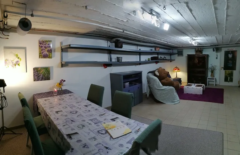 Beautiful basement rooms with private entrance - Image 1