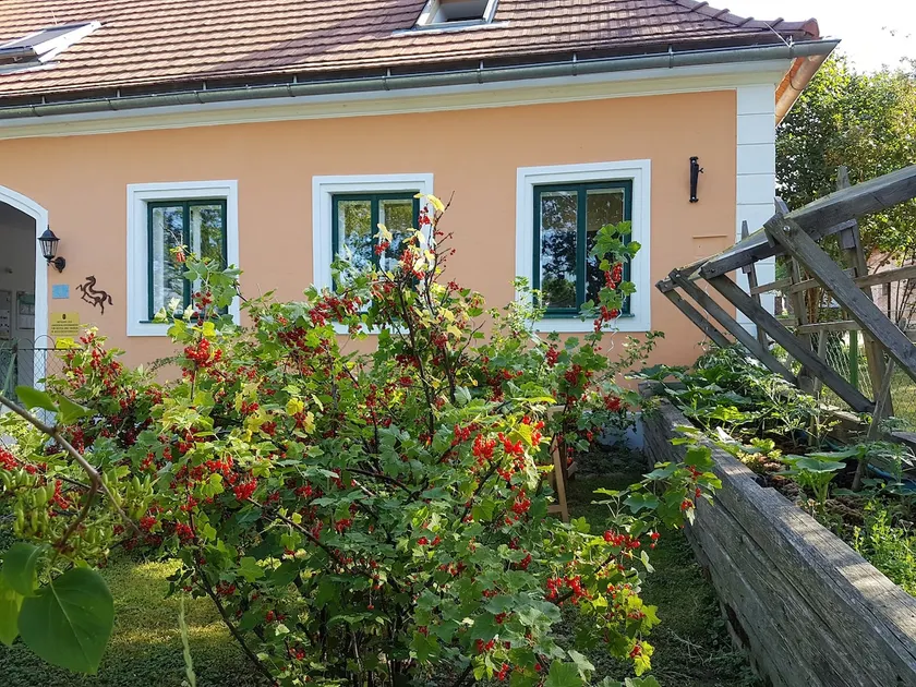 Vacation home Beerengarten - Image 1