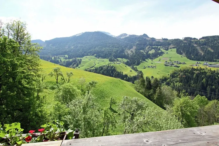 Chalet Hauser - Image 1