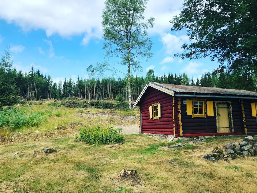 Cosy and charmy log cabin, deep into the forest - Image 1