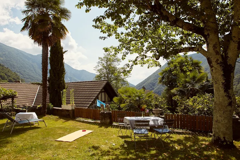 Wild Valley Palm Garden in Valle Onsernone - Image 1