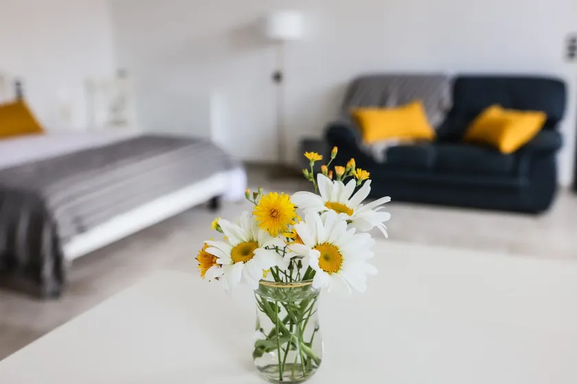 Studio Oasis***, treatments and holidays, 10 km from Jonzac - Image 1