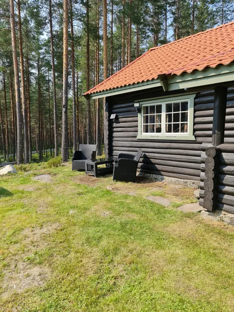 Cozy cottage in scenic surroundings - Image 1