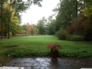 Quiet space overlooking swimming pondl - Image 1