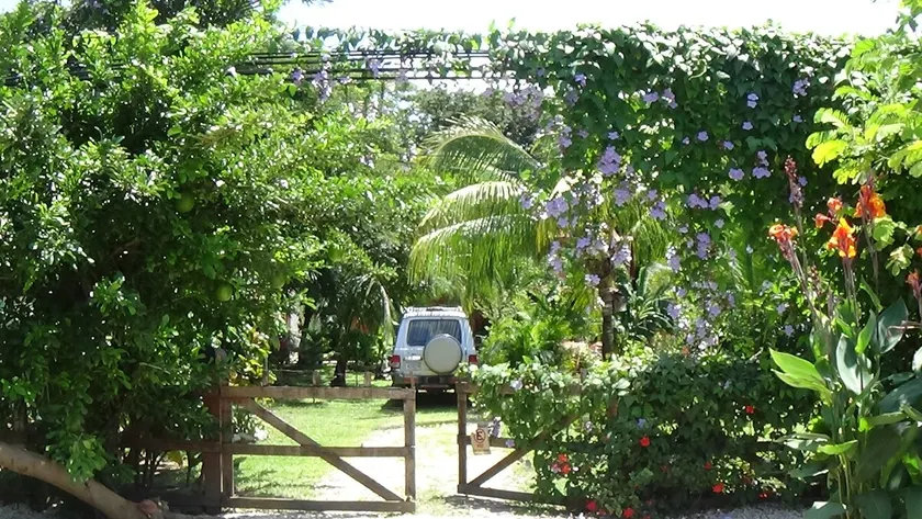 Town Center Private Apt., see Jungle, hear Surf, - Image 1
