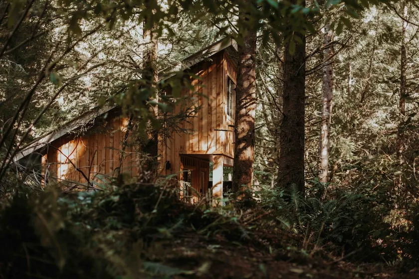 Ferngully Cabins: Cypress Cabin - Image 1
