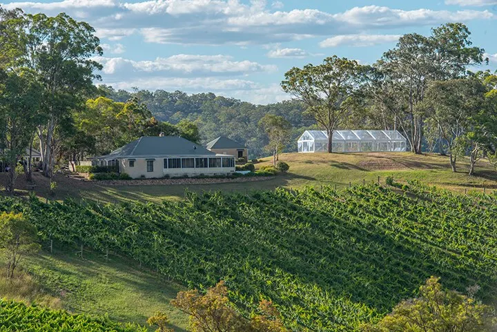 Spectacular vineyard homestead with views!! - Image 1