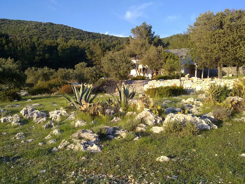 Entire House by the sea - Image 1