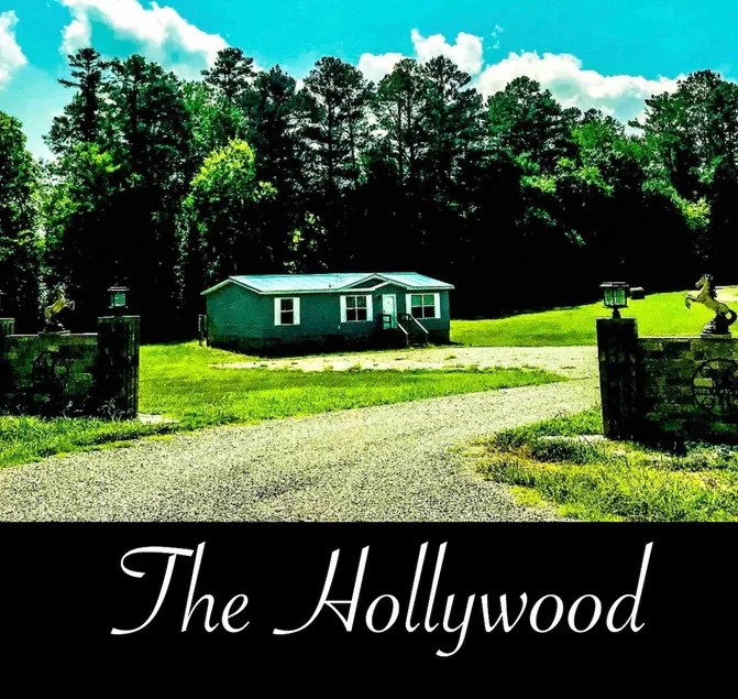 The Hollywood - Image 1
