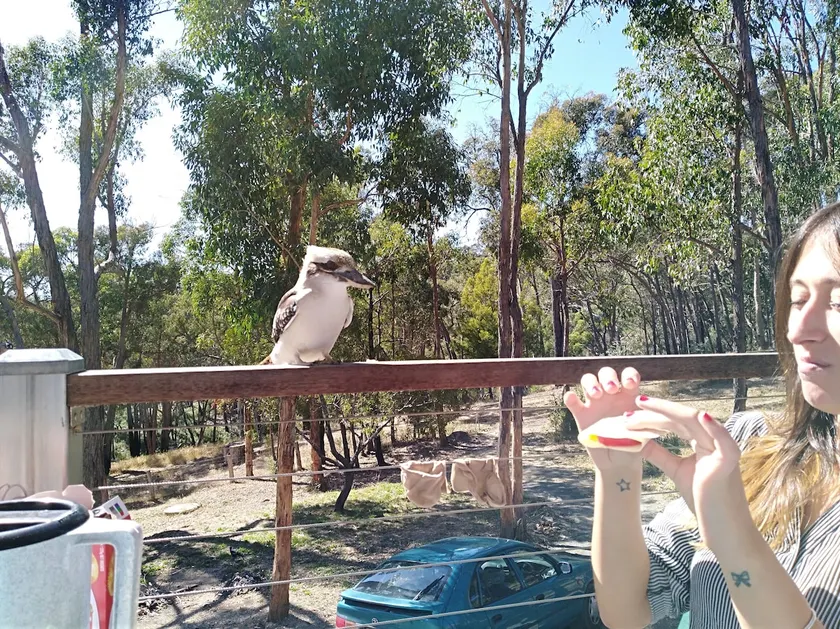 The Purple House - 2 br, deck, views;Long stay - Image 1