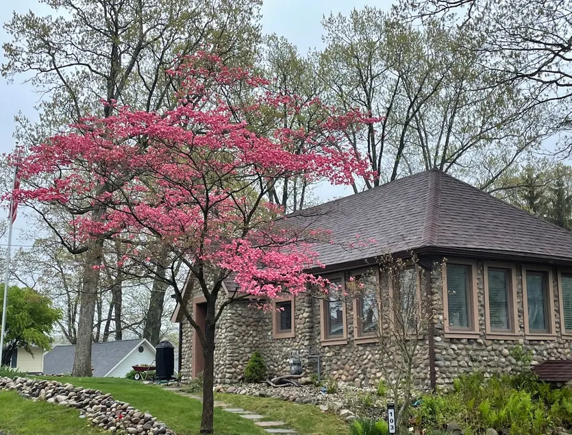 Stone Cottage on Kerr Island - Image 1