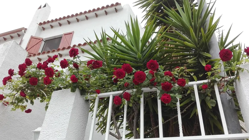 Casa en Costa Dorada - Image 1
