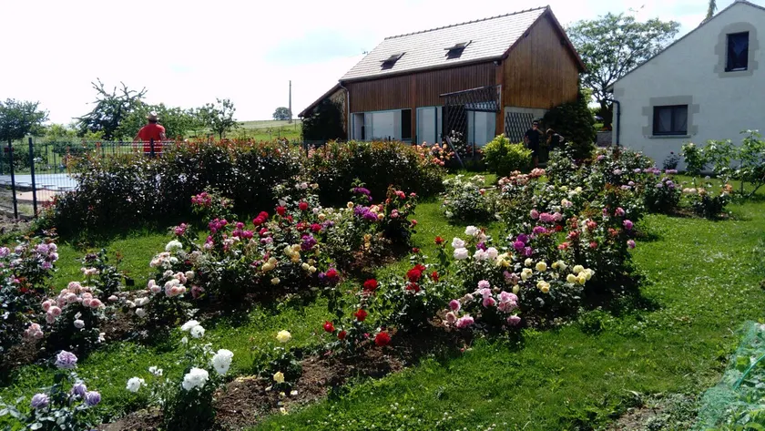 Rose Garden Cottage - Image 1