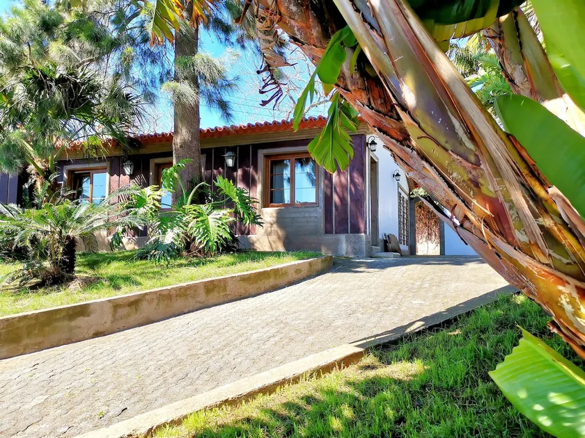 Patio BBQ | 100% private | Spacious and serene ⛱ - Image 1