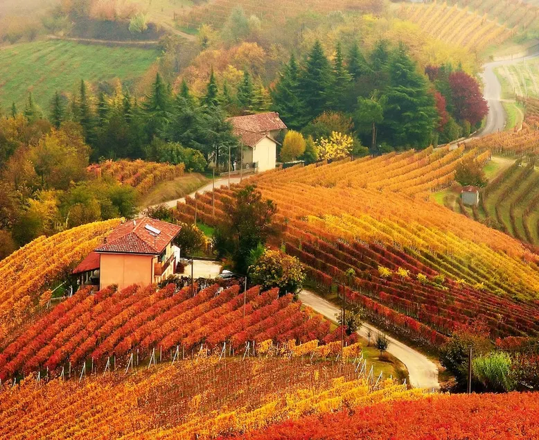 Badinot Haus ist eine Oase in Diano d'Alba, im Herzen der Langhe, in der Nähe von Alba und Barolo - Image 1