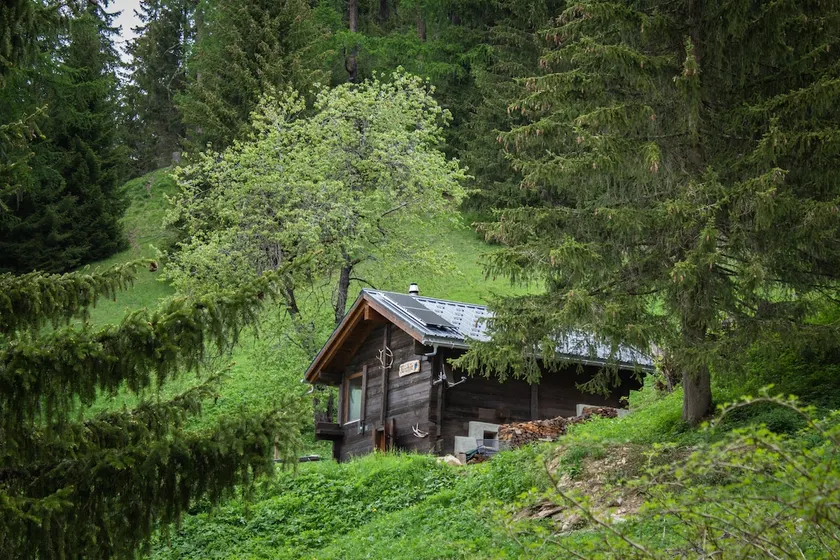 Cabin at the edge of the forest in a hiking area - Image 1