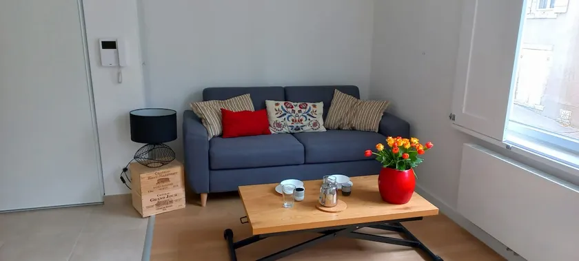Large studio with parking, air conditioning, and a view of the Loire - in the heart of the city - Image 1
