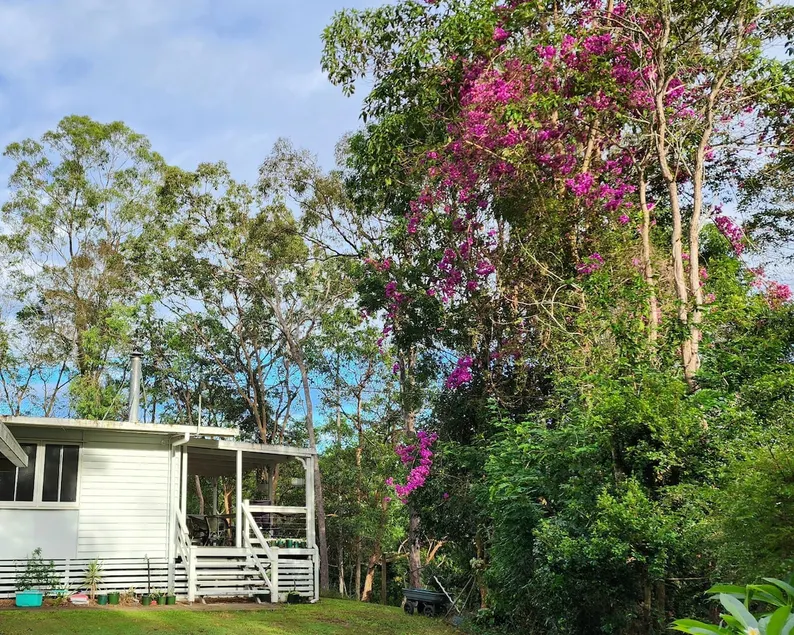 River Cottages Gold Coast in the Beautiful Hinterland, Pet Friendly - Image 1