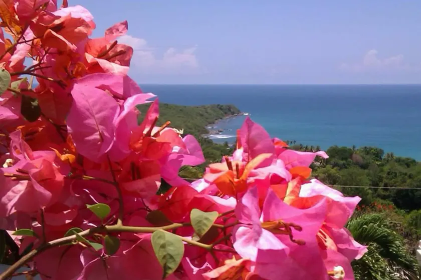 Southeast Coast Getaway - Image 1