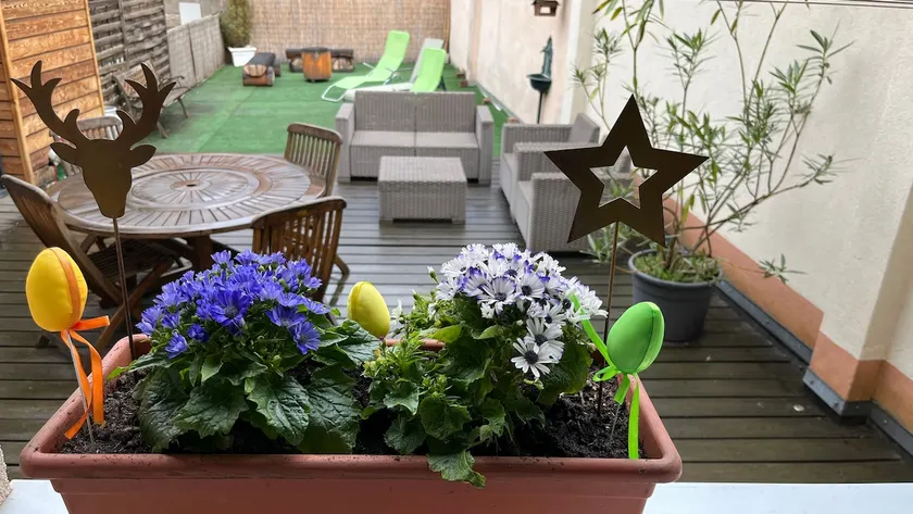 Gite Edelweiss avec terrasse et parking au coeur d'Eguisheim, à10km de Colmar - Image 1