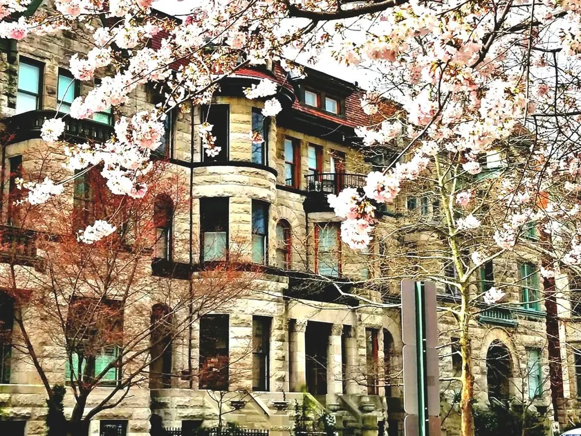 Beautiful, Sunny Dupont Circle Condo with Balcony - Image 1