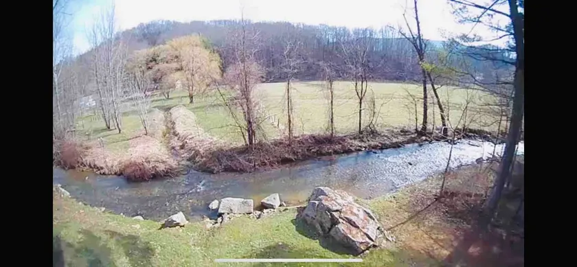 Beautiful Cottage w. creek - Image 1