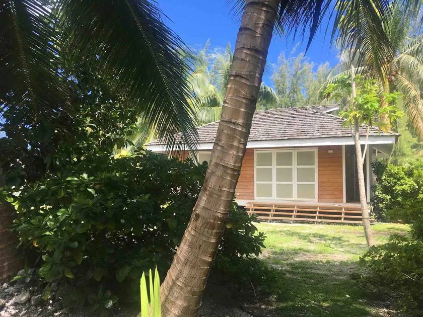 Cottage « the papaya tree » - Image 1