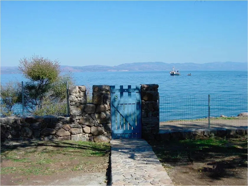 Seaside house amongst olive trees - Image 1