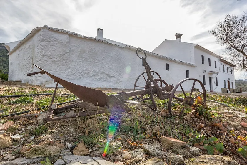 Borreguero ancient cottage - Image 1