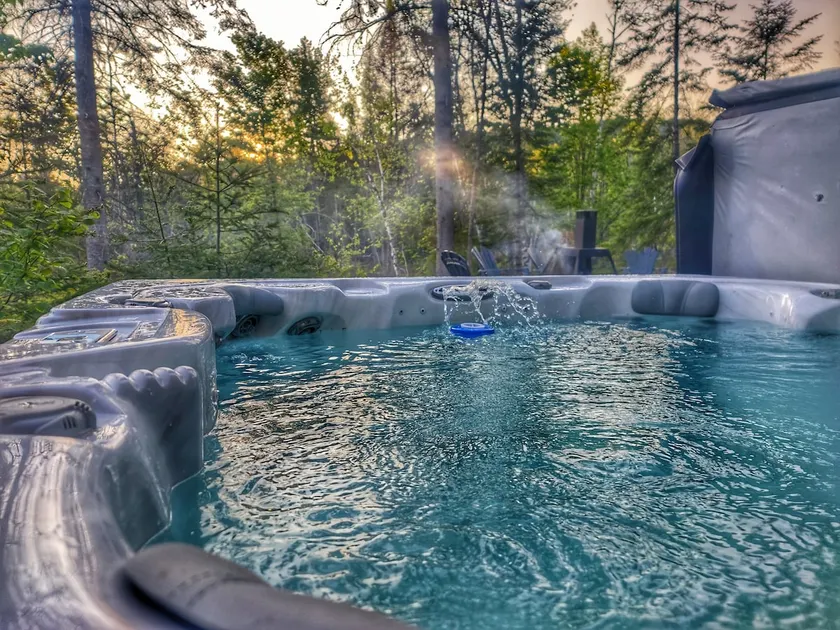 Chalet des Pins, waterfront, Spa & Nature. - Image 1