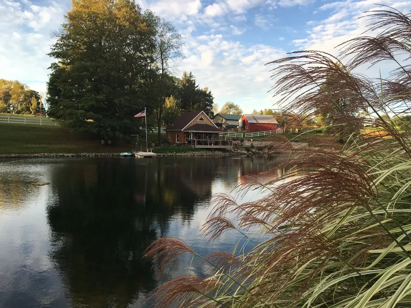 Cozy Cabin by the Pond - Image 1