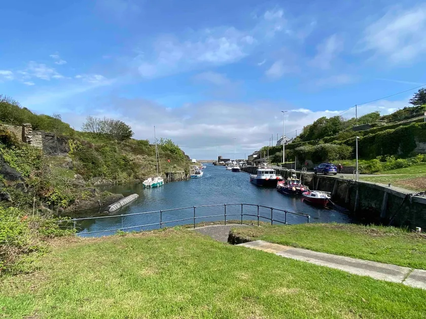 Dog friendly close to costal path adults only - Image 1