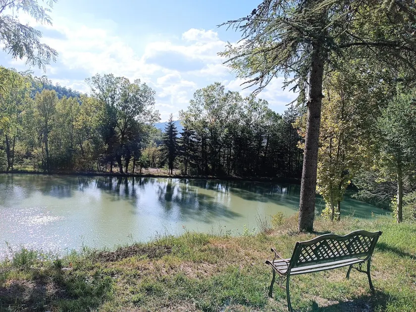 Springs in the woods Lake View Apartment - Image 1