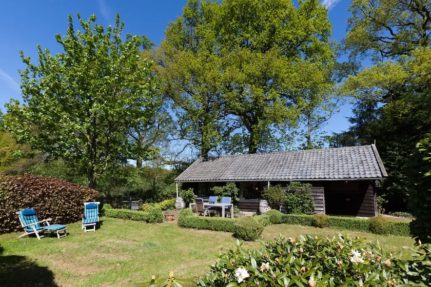 The Hoge Veluwe as a backyard - Image 1