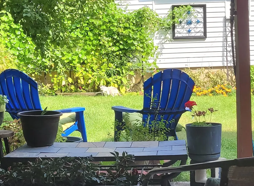 The Garden on Wayne - Image 1