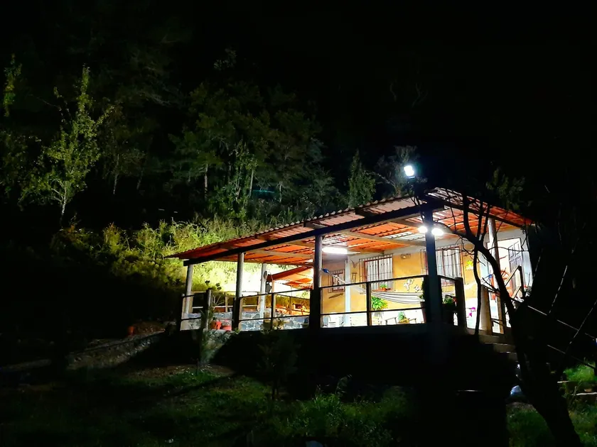 The Frog Corner - Image 1