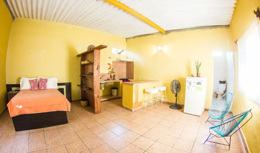 Studio Pachita - Image 1