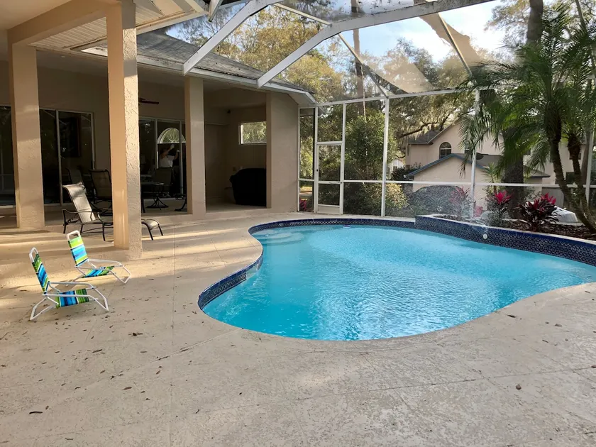 *Riverhills Pool Retreat near Busch Gardens/USF! - Image 1