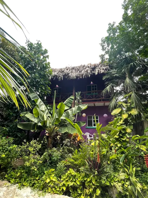 Palapa Iguana - Apartment - Tropical Garden - Downtown - Image 1