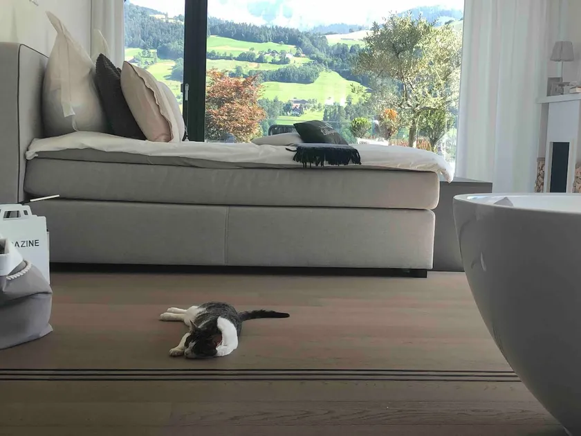 Lucerne near the city - 180 m² luxurious apartment in the countryside - Image 1