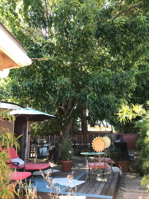 Casita: Private, Deck/Garden, 8 Min. to Beach! - Image 1