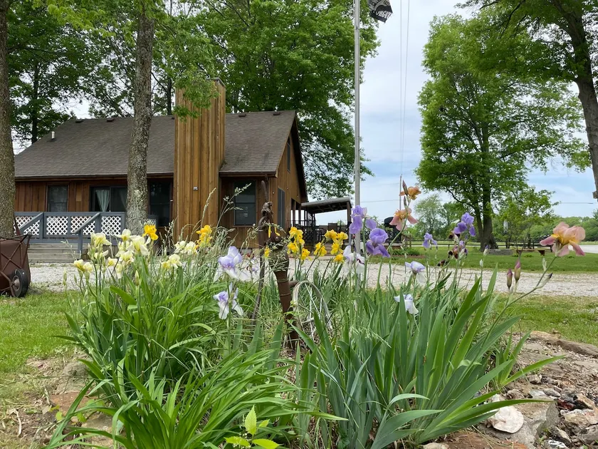 Cozy Cabin by Bucksaw Marina, Truman Lake - Image 1