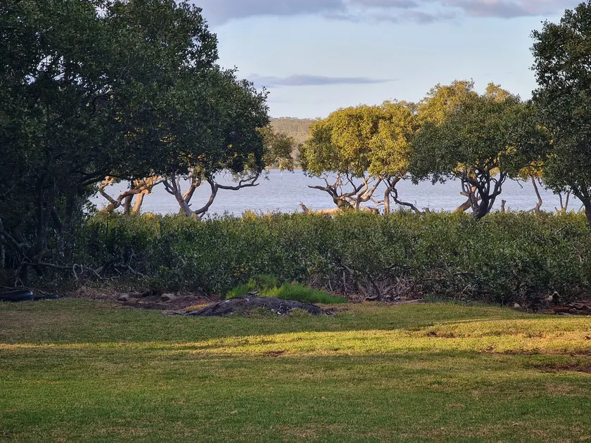 Raglan Cottage @Curley's Bay waterfront, screened deck, pets ✅️   ⛱️ 600m WiFi - Image 1
