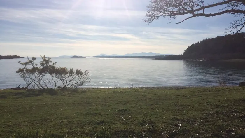 Coachmans Bothy - 50m from the beach - Image 1