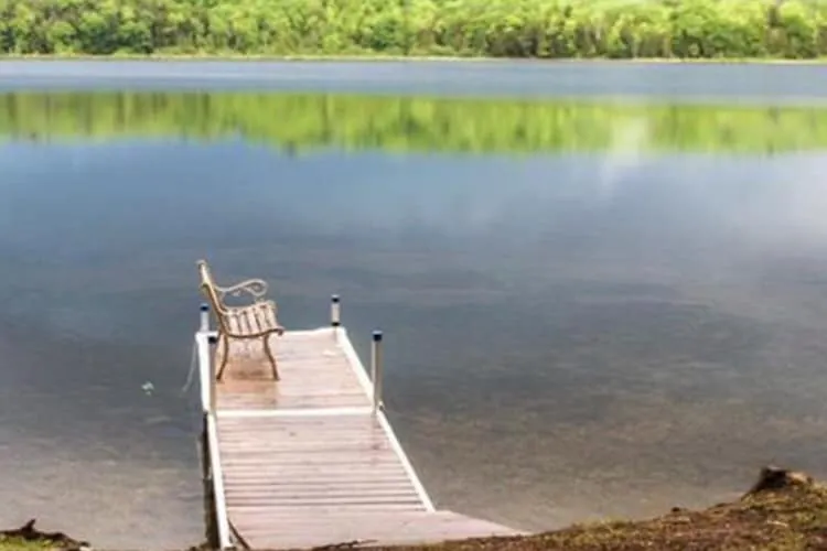 Quiet Getaway on small pond on Private road - Image 1