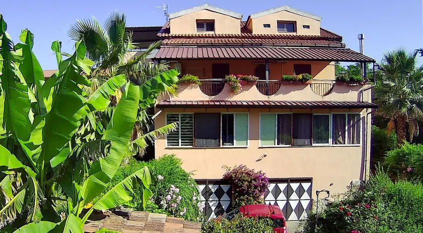 NERIUM - Image 1