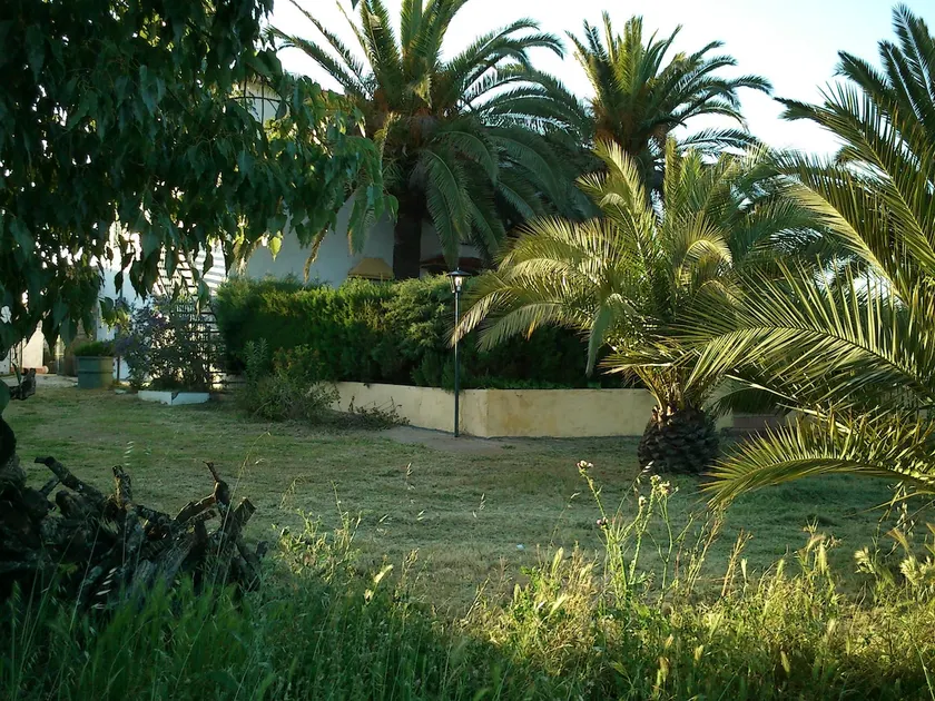 Charming rural tourism in Extremadura, Azuaga - Image 1
